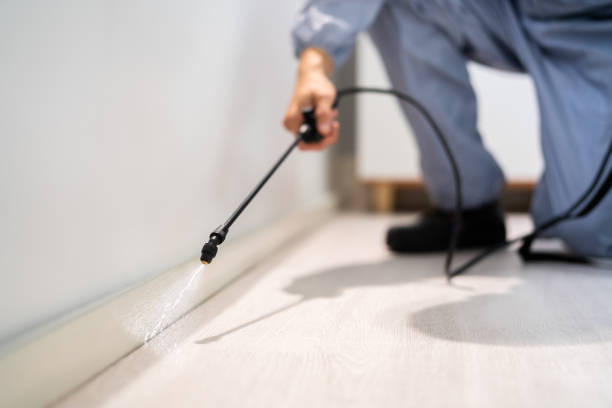 Licensed Fumigation Services service in Langley, SC - Nex Pest Control
