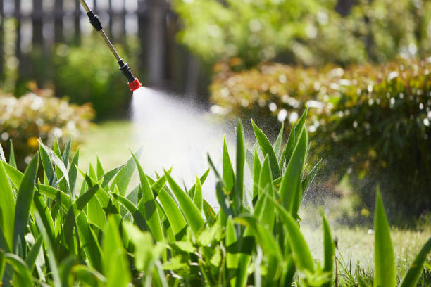 24/7 Emergency Fumigation Services experts in Langley, SC